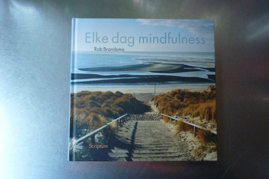 Elke dag meer mindfulness - Rob Brandsma, Boeken, Achtergrond en Informatie, Ophalen of Verzenden, Zo goed als nieuw, Overige onderwerpen