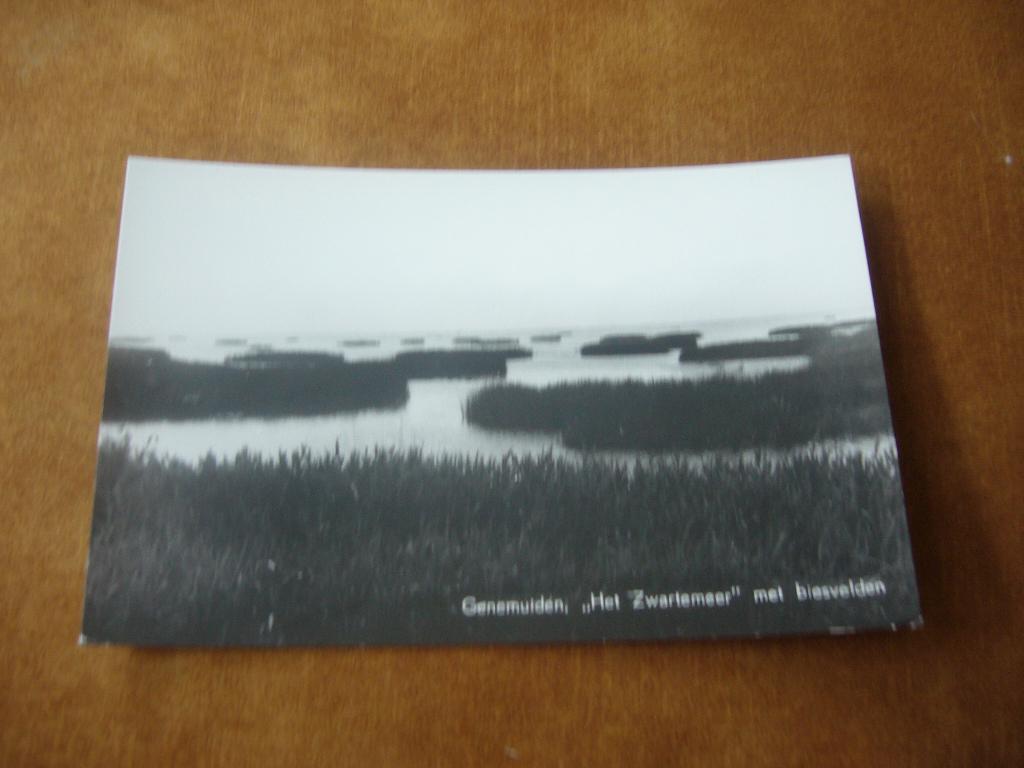 GENEMUIDEN  =  HET ZWARTEMEER MET BIESVELDEN, Verzamelen, Ophalen of Verzenden, 1940 tot 1960, Ongelopen, Overijssel