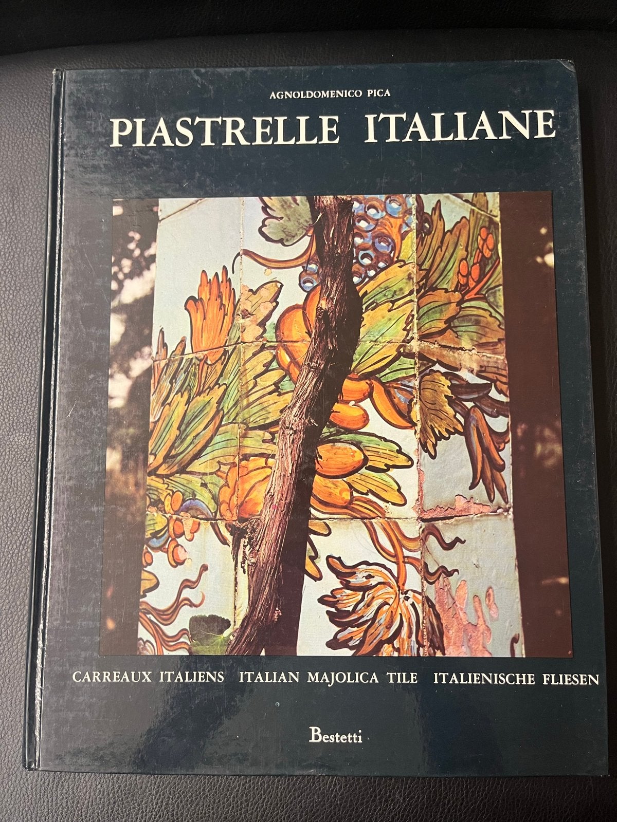 Piastrelle Italiane - Italiaanse Majolica Tegels Boek, Boeken, Ophalen of Verzenden, Gelezen, Overige onderwerpen