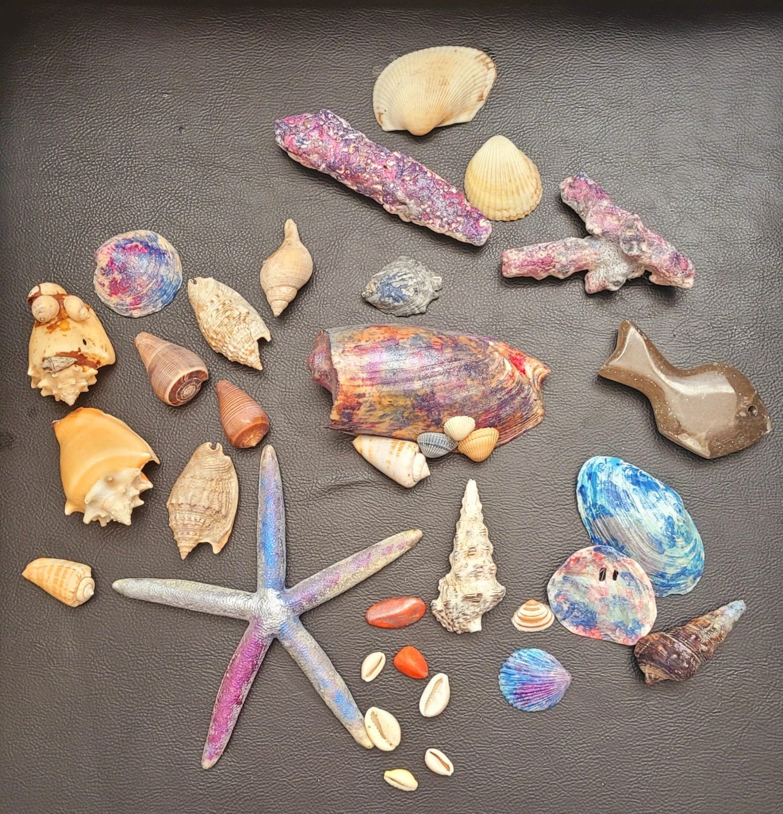 Decoratieve Schelpen en Zeester Collectie, Verzamelen, Ophalen of Verzenden, Zo goed als nieuw