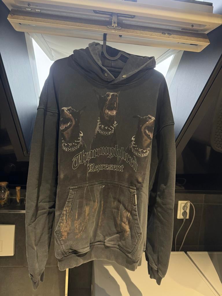Represent Hoodie met hondenprint, Ophalen of Verzenden, Gedragen, Maat 56/58 (XL), Zwart