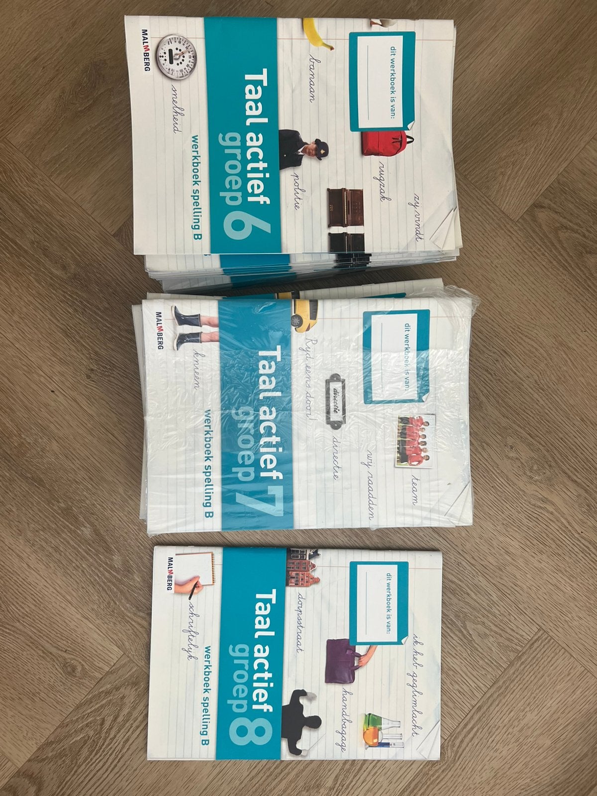 Taal actief spelling werkboeken en handleidingen, Postzegels en Munten, Postzegels | Toebehoren, Ophalen of Verzenden