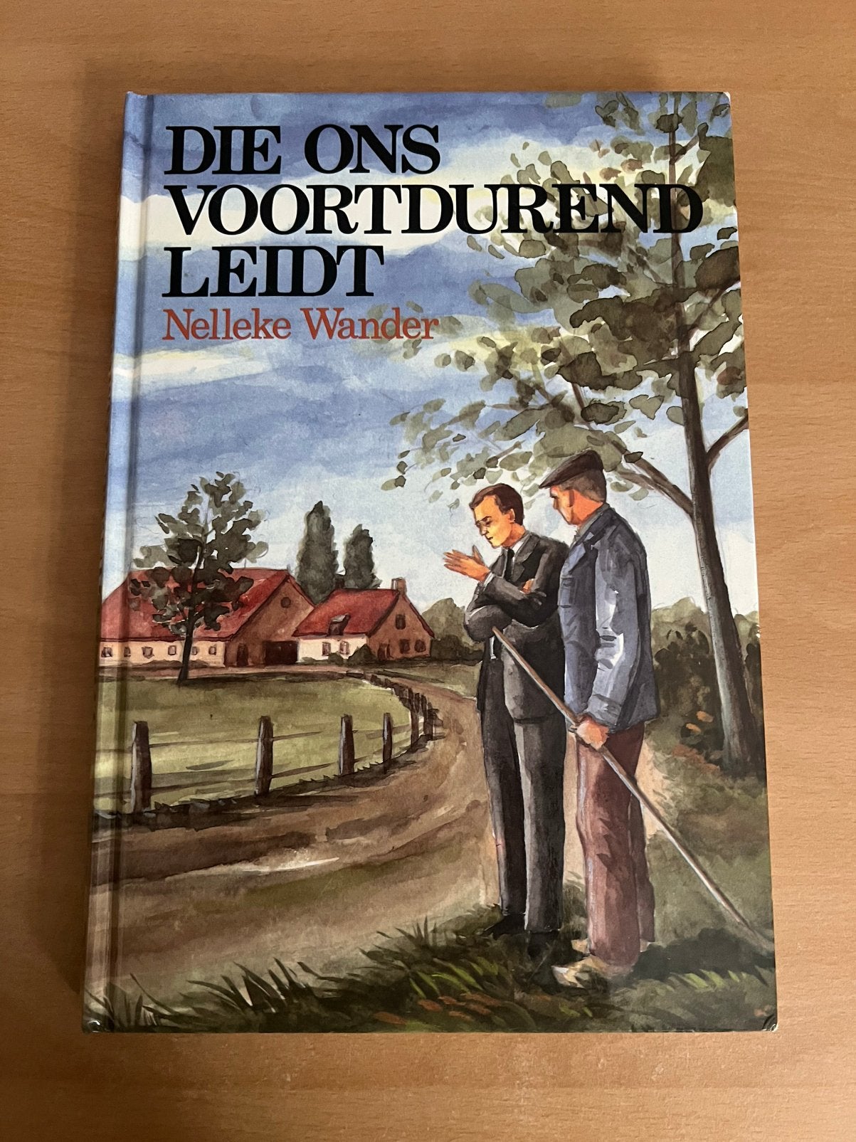 Die ons voortdurend leidt door Nelleke Wander, Boeken, Ophalen of Verzenden