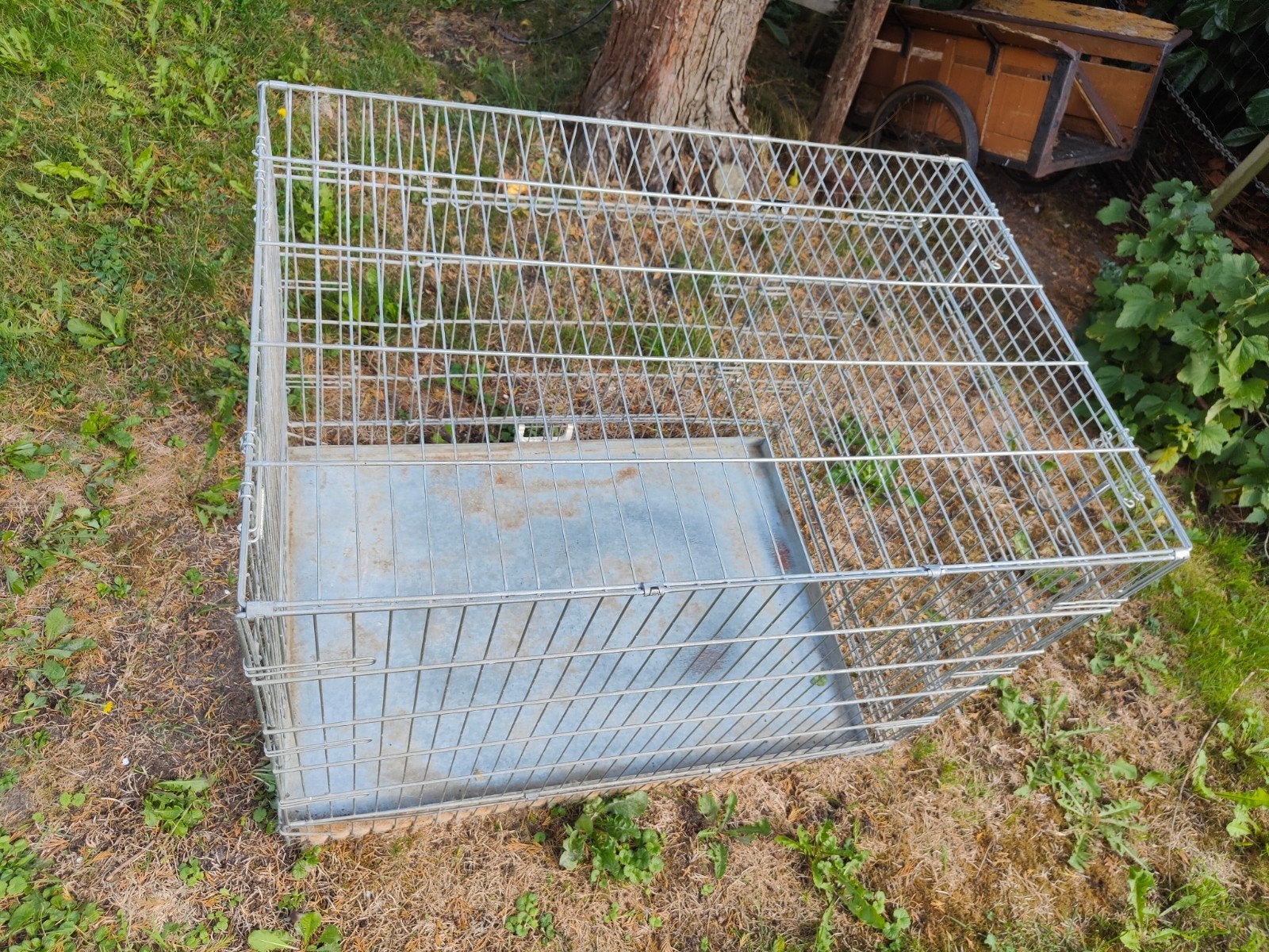 bench voor grote hond, Ophalen, Gebruikt