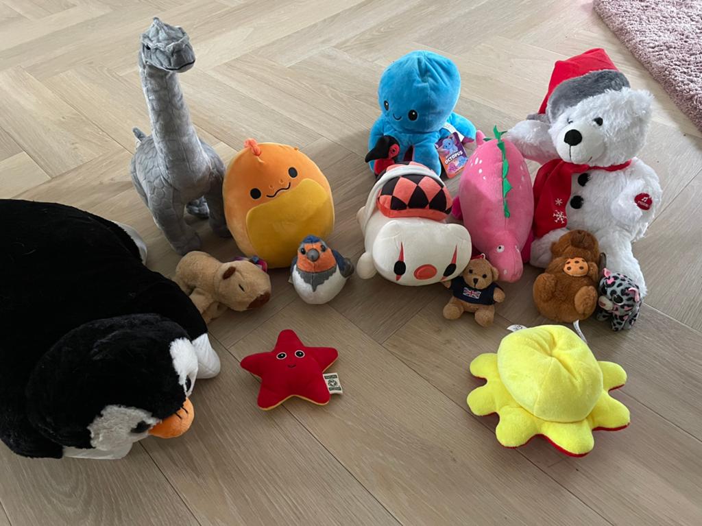 Diverse knuffels, Kinderen en Baby's, Speelgoed | Knuffels en Pluche, Ophalen, Zo goed als nieuw, Overige typen