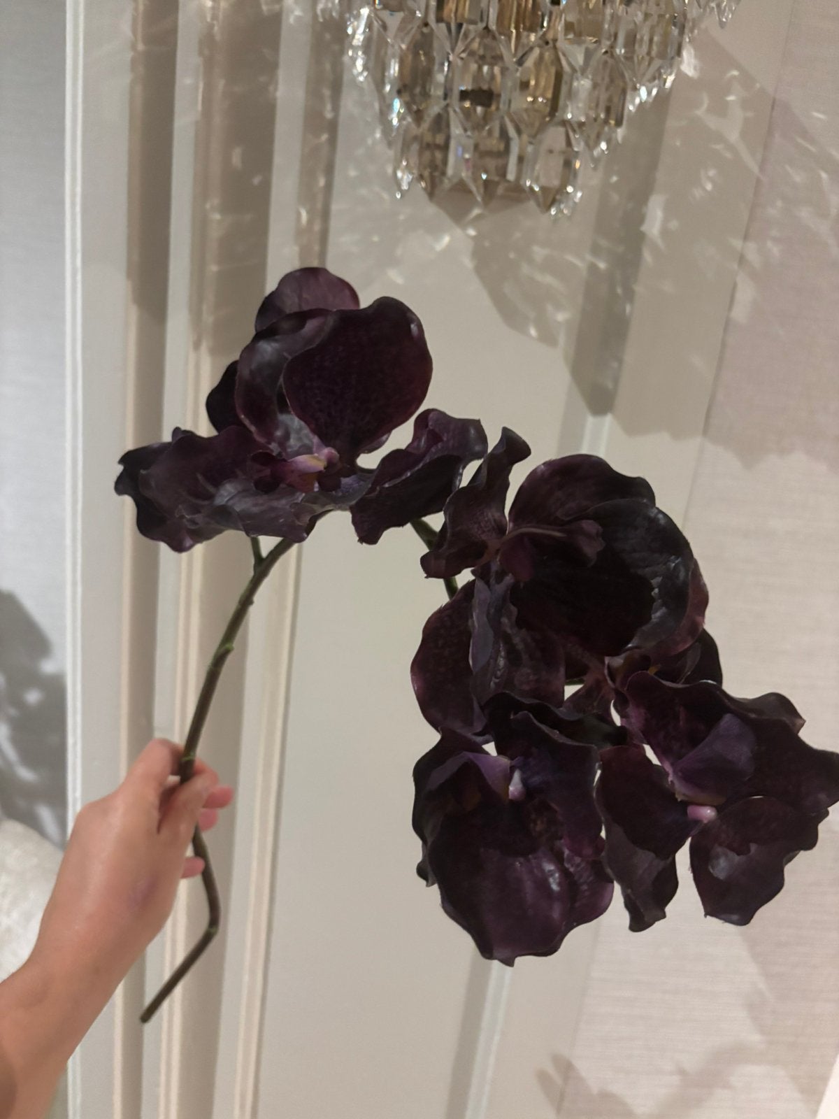 Vlinder orchidee burgundy herst nieuw silk-ka, Ophalen of Verzenden, Nieuw