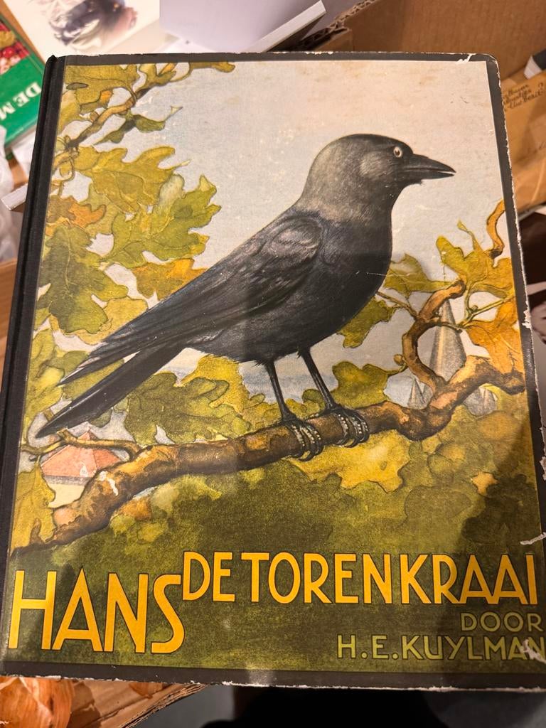 Hans de Torenkraai - H.E. Kuylman (Oud Kinderboek), Boeken, Ophalen, Gelezen