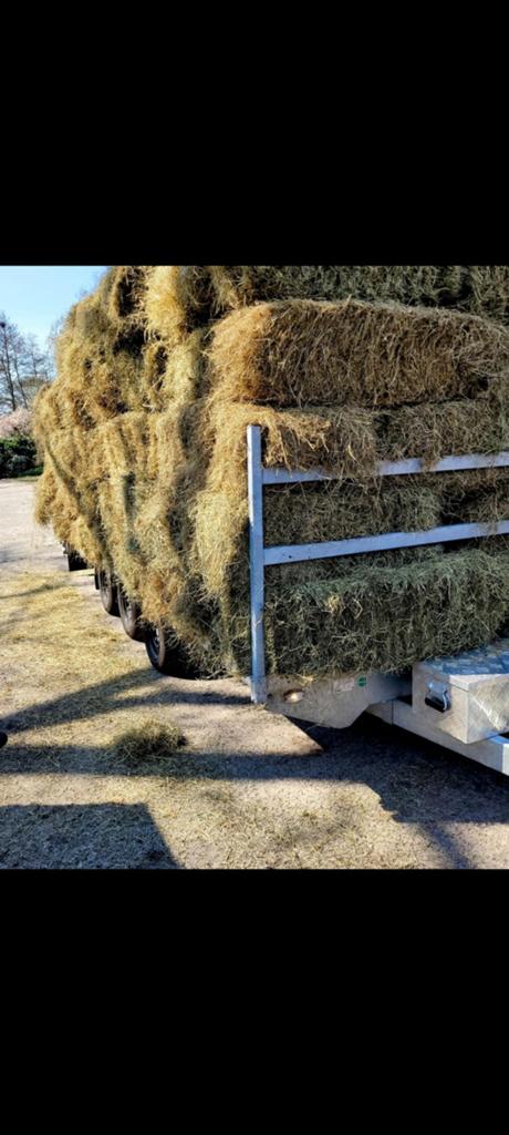 Hooi balen te koop - Ideaal voor vee en paarden, Ophalen of Verzenden