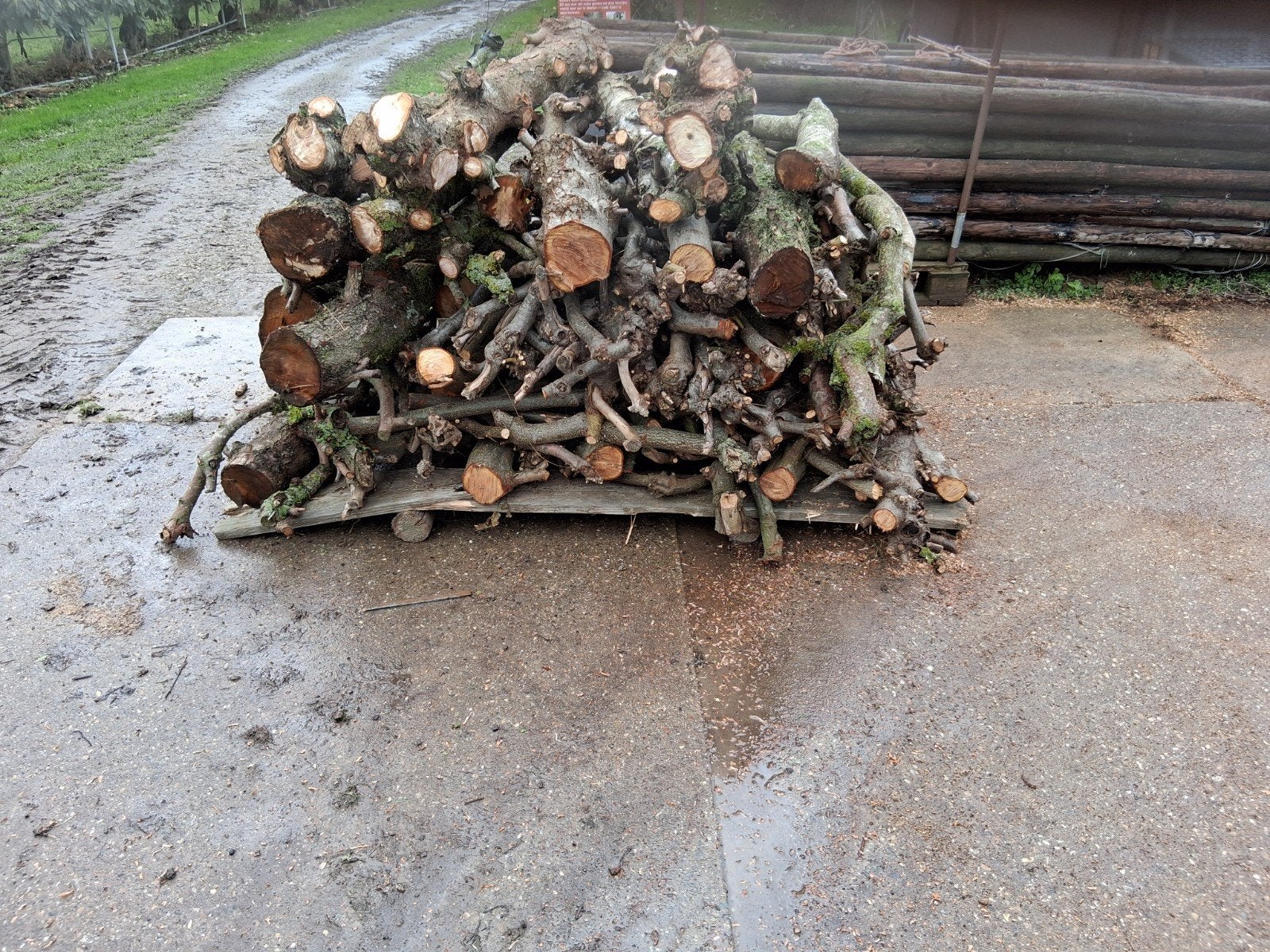 Haardhout - Diverse Houtsoorten, Minder dan 3 m³, Ophalen, Overige houtsoorten, Blokken