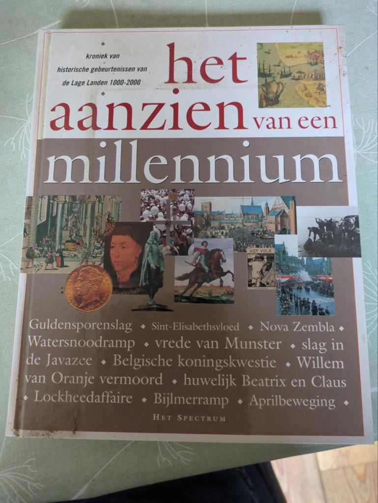 Het aanzien van een millennium, Boeken, Ophalen of Verzenden, Zo goed als nieuw