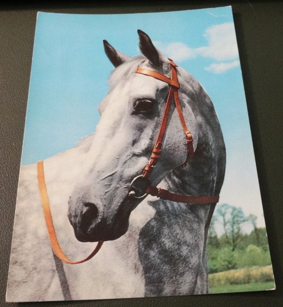 Paarden - Schimmel - Terugkijk - KHo02, Verzenden, 1980 tot heden, Gelopen, Paard