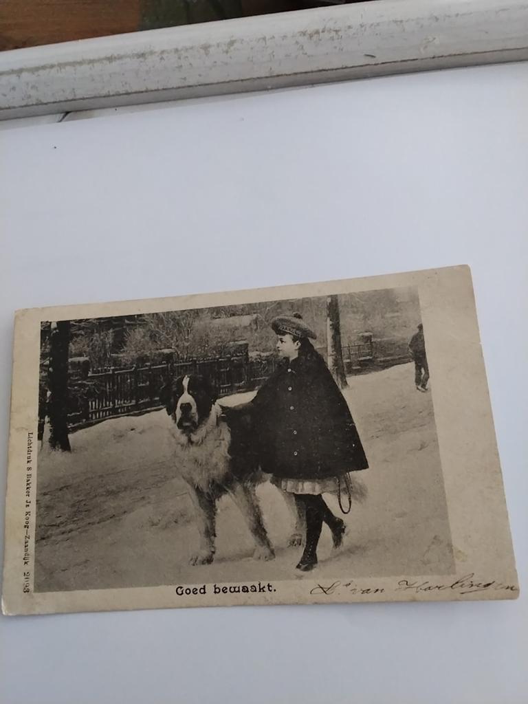 GOED BEWAAKT.  1902, Ophalen of Verzenden, Voor 1920, Overige thema's