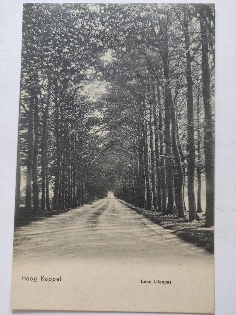 X1701 Hoog Keppel 1906 naar Krommenie, Ophalen of Verzenden, Voor 1920, Noord-Holland