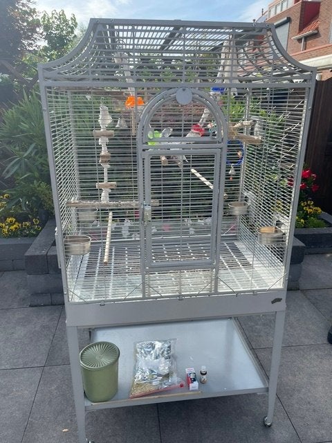 Vogelkooi / Voliere, Dieren en Toebehoren, Vogels | Hokken en Kooien, Ophalen of Verzenden, Nieuw, Metaal, Vogelkooi