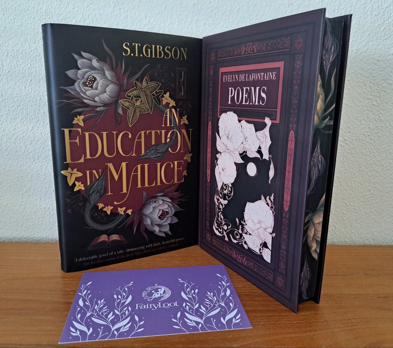 An education in malice - S.T. Gibson (Fairyloot), Ophalen of Verzenden, Nieuw, Fictie
