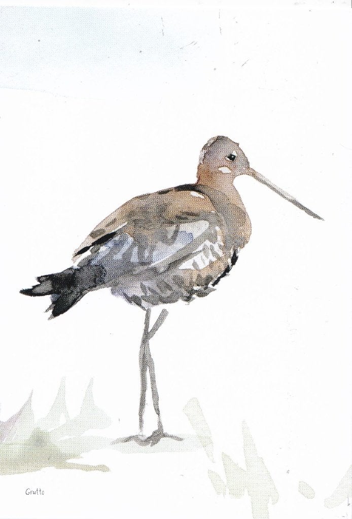 Michelle Dujardin - Nederlandse weidevogels – grutto, Verzenden, 1980 tot heden, Ongelopen, Natuur