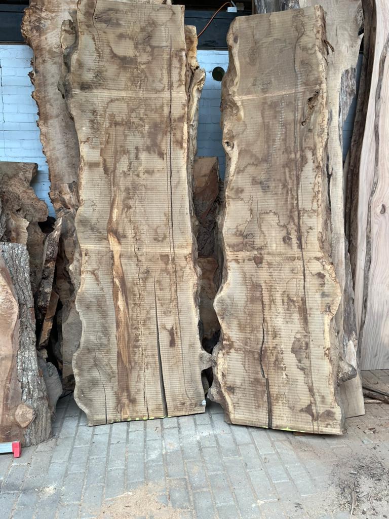 Stoere schaaldeel wandplanken olijf wortel noten eik iep es, Ophalen