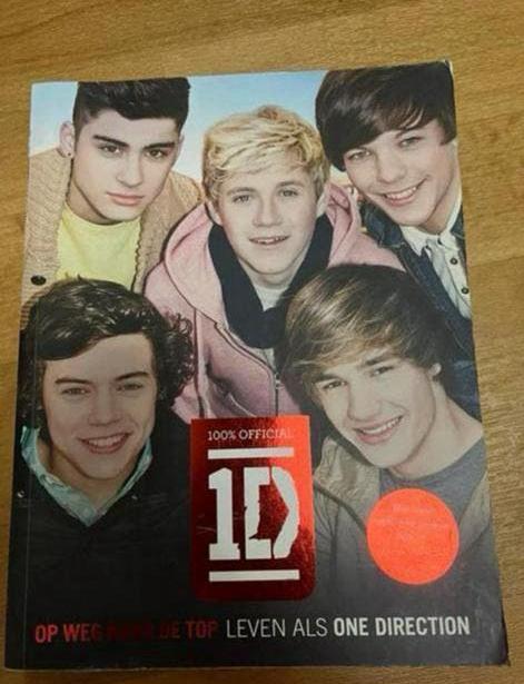 Boek One Direction Op Weg Naar De Top met postcards, Ophalen of Verzenden, Zo goed als nieuw, Artiest