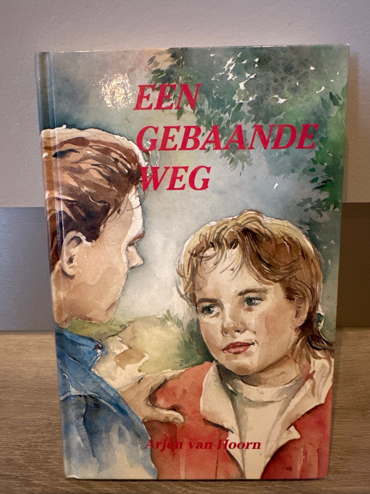 Een Gebaande Weg - Arjen van Hoorn (Jeugdboek), Boeken, Ophalen of Verzenden, Gelezen, Nederland