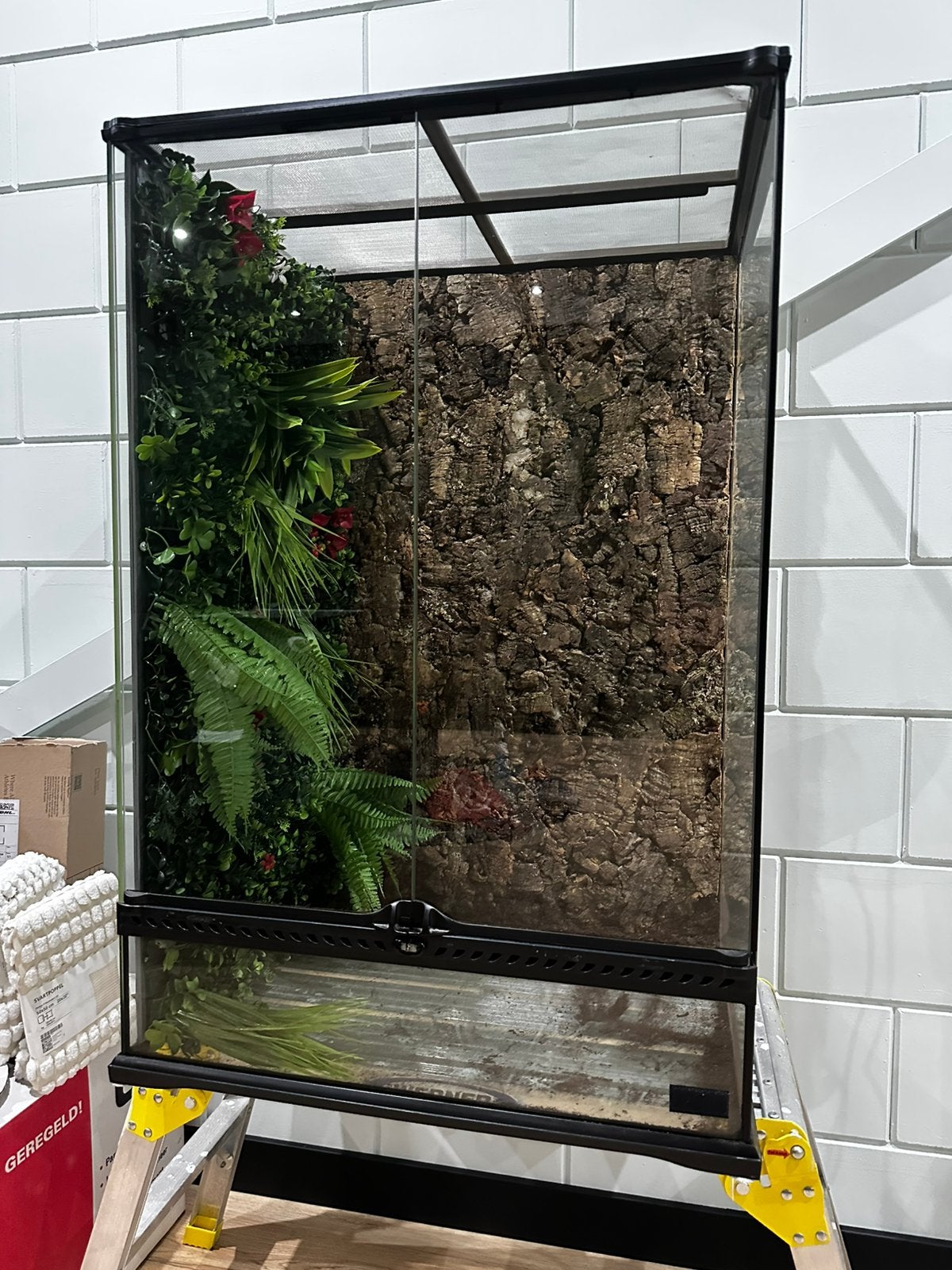 terrarium met achterwand, Ophalen, Zo goed als nieuw, Terrarium of Paludarium