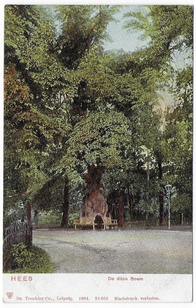 Hees Ongelopen Oude Ansichtkaart (B8001 ), Ophalen of Verzenden, 1940 tot 1960, Ongelopen