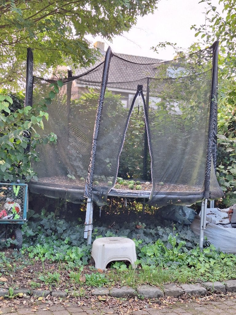 Gratis: grote trampoline, Kinderen en Baby's, Ophalen, Gebruikt
