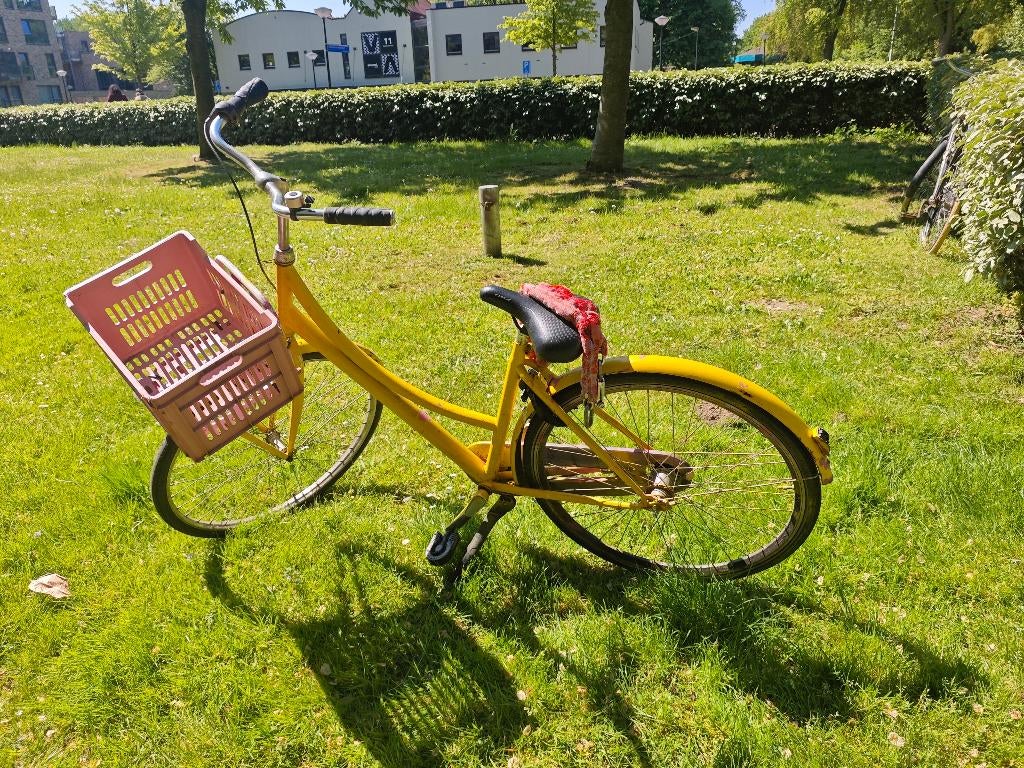 Daily bicycle, Fietsen en Brommers, Ophalen of Verzenden, Gebruikt, Overige merken
