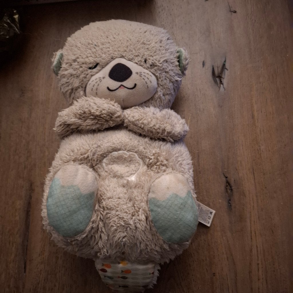 Fisher price bedtijd otter, Ophalen, Gebruikt, Overige typen