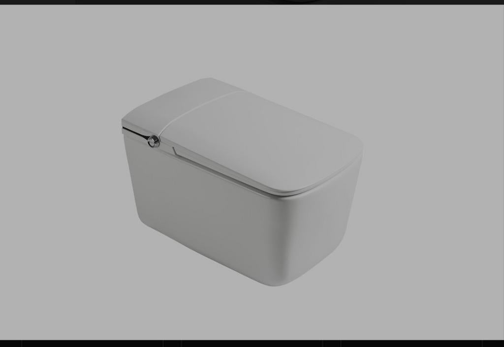 Luxe Smart Toilet met Bidet, Verwarmde Bril en Droger, Doe-het-zelf en Verbouw, Sanitair, Ophalen, Nieuw, Toilet