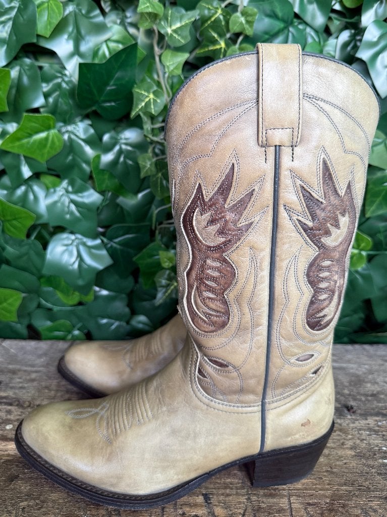bijna Nieuwe mooie  laarzen van sendra maat 37, Kleding | Dames, Bruin, Nieuw, Ophalen of Verzenden, Sendra