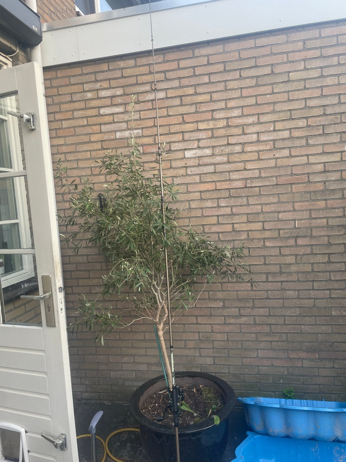 Mitchell Tanager Camo II Werphengel met Molen, Ophalen, Gebruikt, Complete hengel