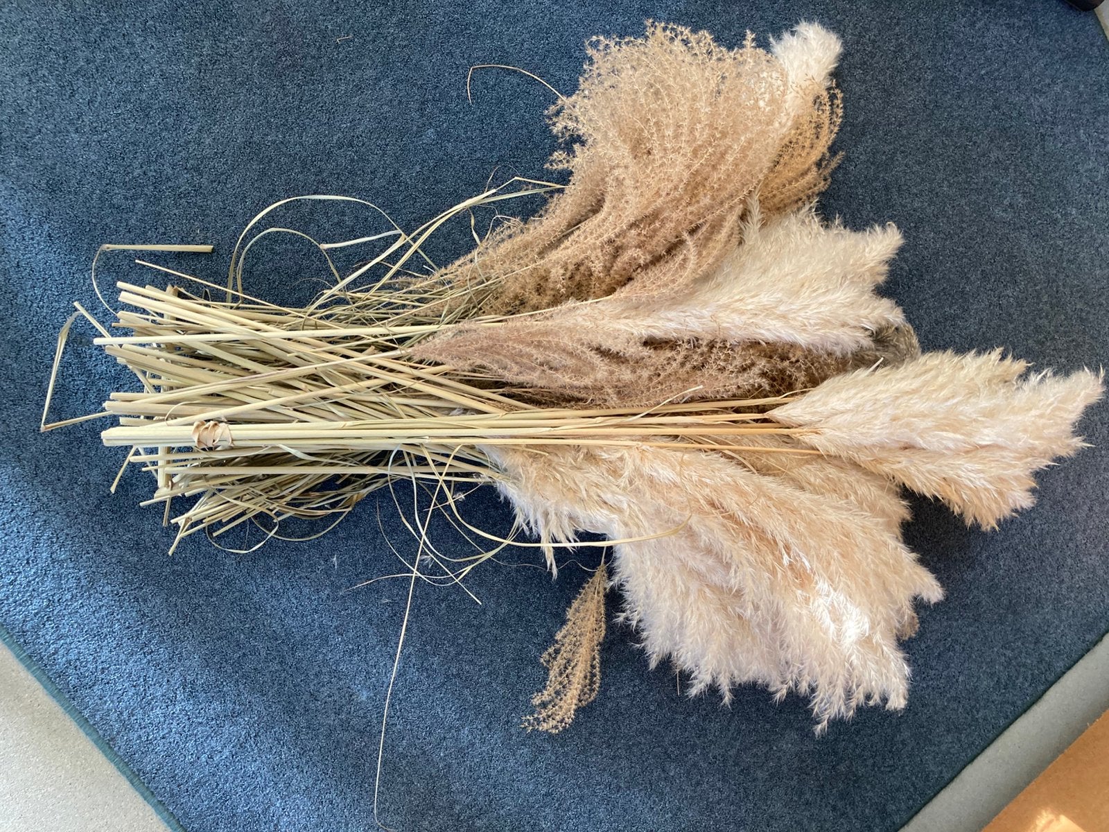Pampas takken, Ophalen of Verzenden, Zo goed als nieuw