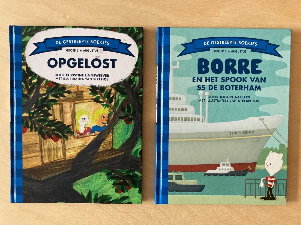 Borre leesboekjes groep 6 (2 stuks), Ophalen of Verzenden, Zo goed als nieuw, Fictie algemeen