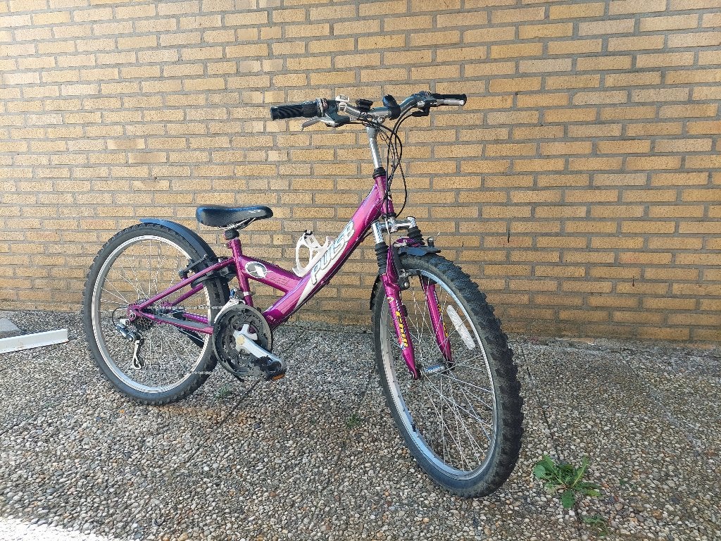 meisjes  mountainbike 24inch, Ophalen, Versnellingen, Gebruikt, 24 inch
