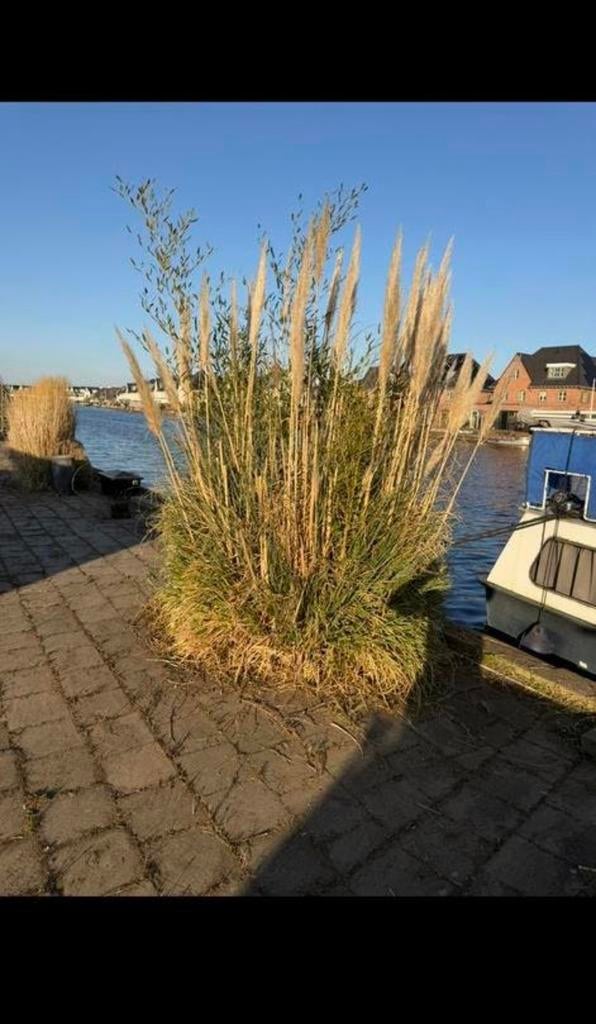 Ligplaats Valkenburg (Leiden), Watersport en Boten, Ligplaatsen