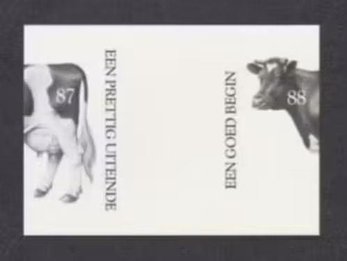Friese Koe Zwart Wit Prettig Uiteinde Goed Begin 1988., Ophalen of Verzenden, 1980 tot heden, Ongelopen, Overige soorten