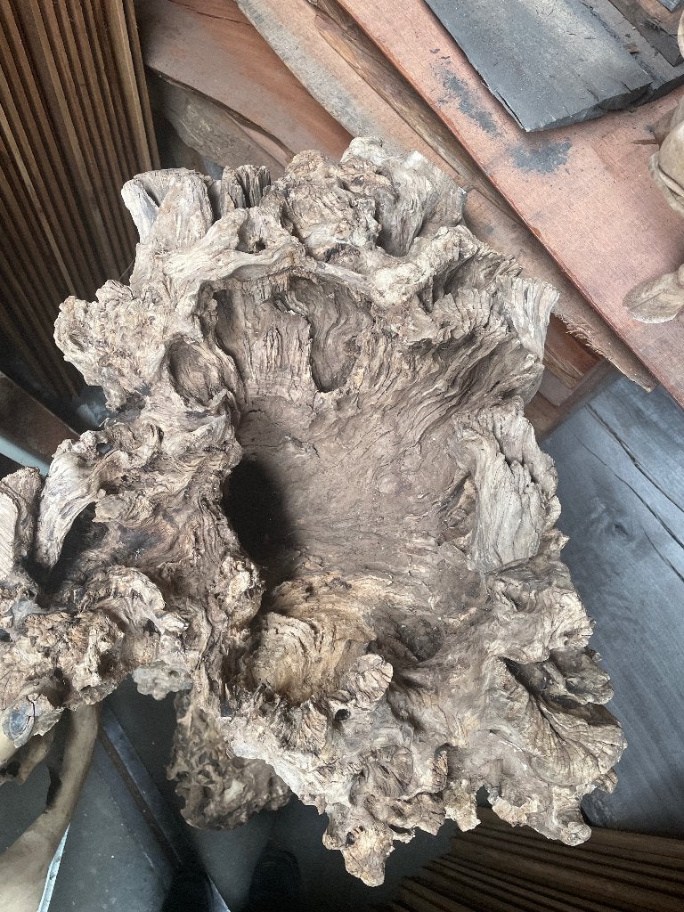 Olijfhout stronk wortel stam, Ophalen, Overige typen, Hout, Nieuw