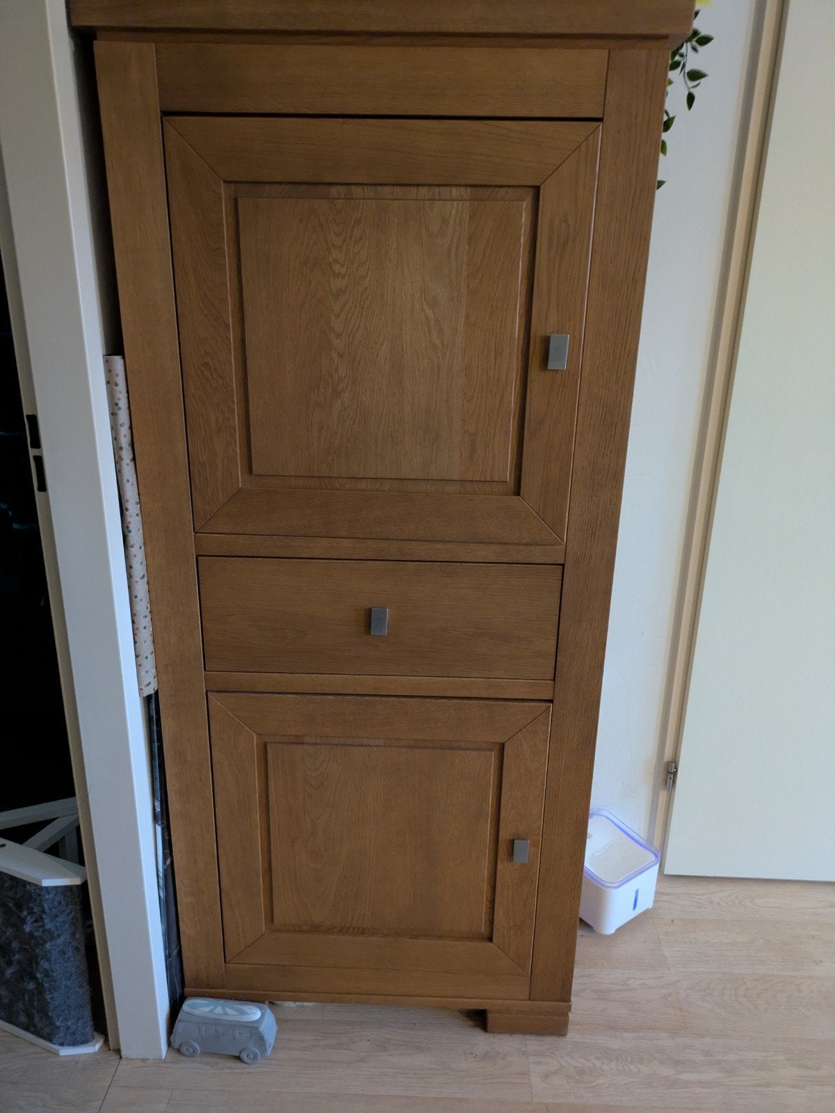 huiskamer kasten, Huis en Inrichting, 70 tot 120 cm, Ophalen of Verzenden, Zo goed als nieuw, Minder dan 40 cm