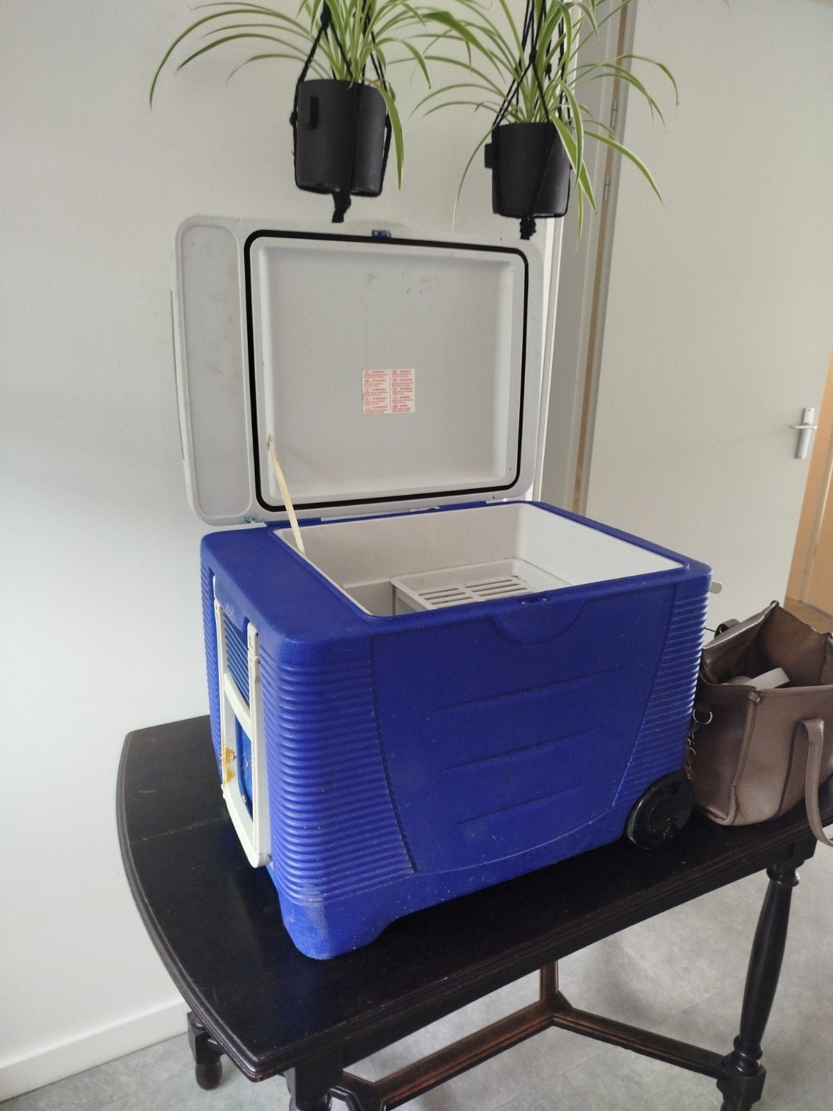Campmaster 45L thermo-elektrische koelbox, Ophalen, Gebruikt, Koelbox, Elektrisch