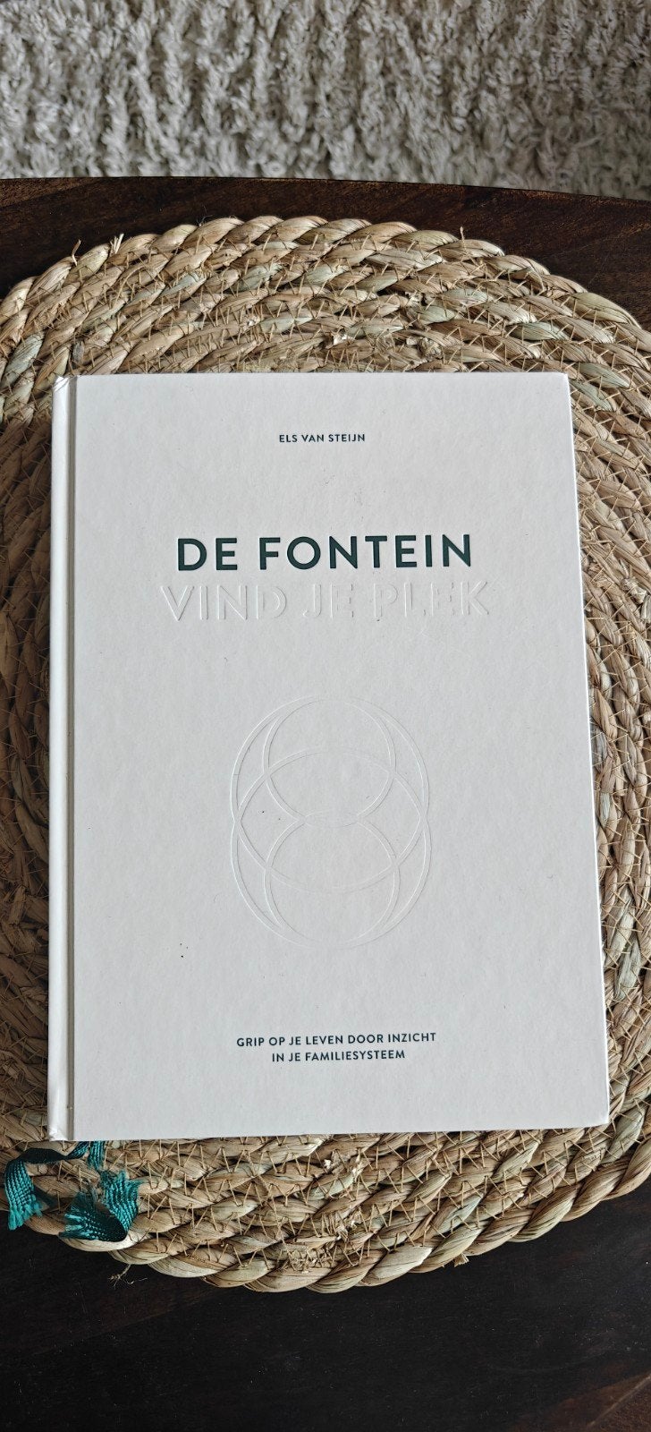 De Fontein: Vind je plek - Els van Steijn, Boeken, Ophalen of Verzenden, Zo goed als nieuw, Overige onderwerpen, Els van Steijn