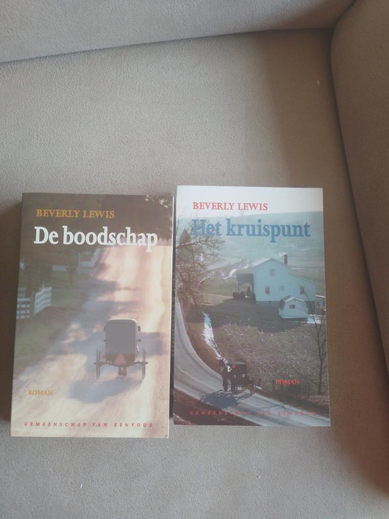 Boeken Beverly Lewis Gemeenschap van Eenvoud, Ophalen of Verzenden, Zo goed als nieuw, Beverly Lewis