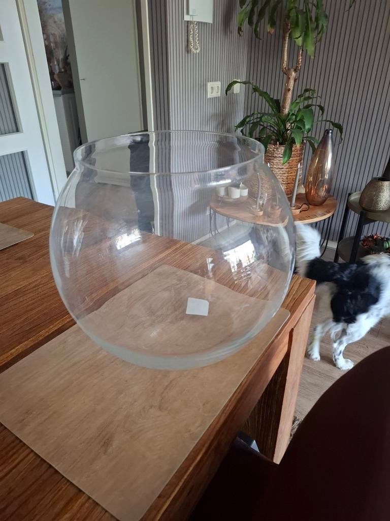 Ronde glazenbol voor bloemen of vissen, Ophalen of Verzenden