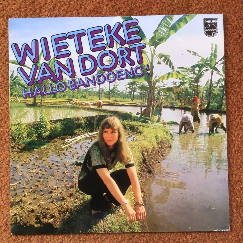 LP - Wieteke van Dort - Hallo Bandoeng, Ophalen of Verzenden