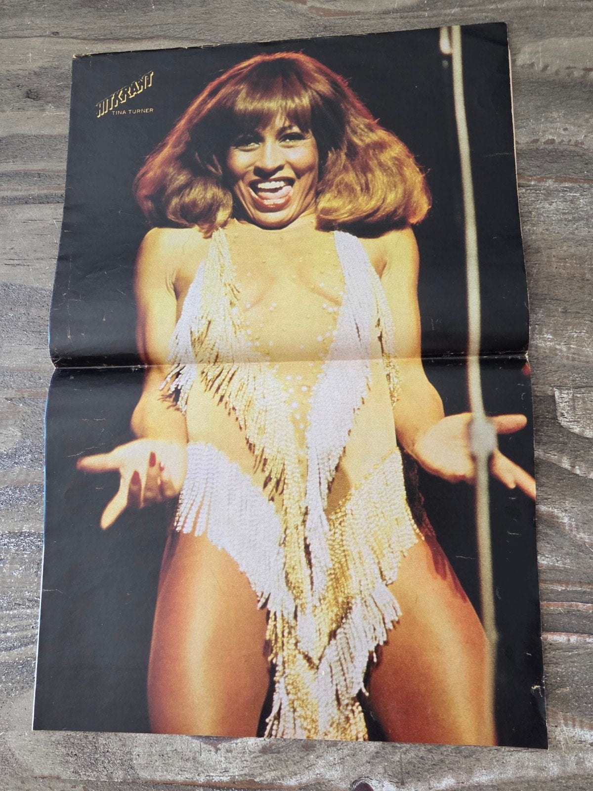 Vintage Tina Turner Poster, Ophalen of Verzenden, Zo goed als nieuw, A1 t/m A3, Film en Tv