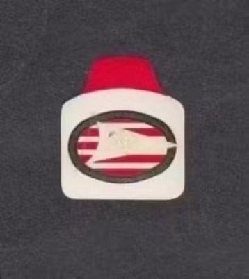 Embleem Logo Voetbalclub PSV Eindhoven 1960., Ophalen of Verzenden, Zo goed als nieuw
