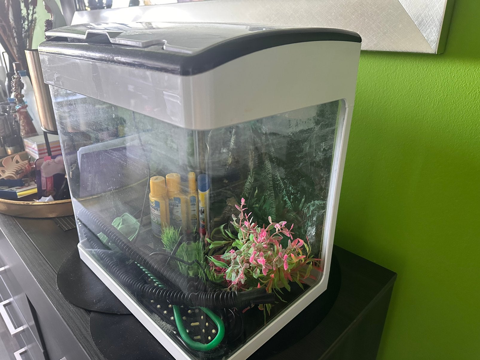 Aquarium, Dieren en Toebehoren, Vissen | Aquaria en Toebehoren, Ophalen, Inclusief toebehoren, Zo goed als nieuw, Leeg aquarium
