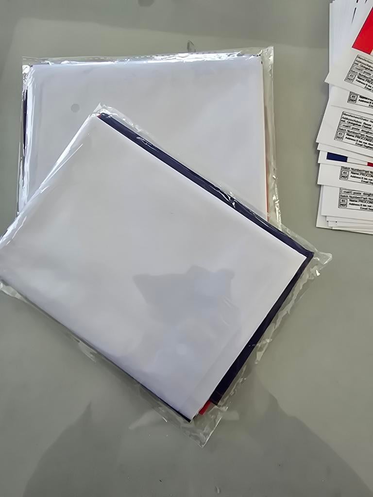 1 Nederlandse vlag en 10 vlagstickervellen, Ophalen of Verzenden