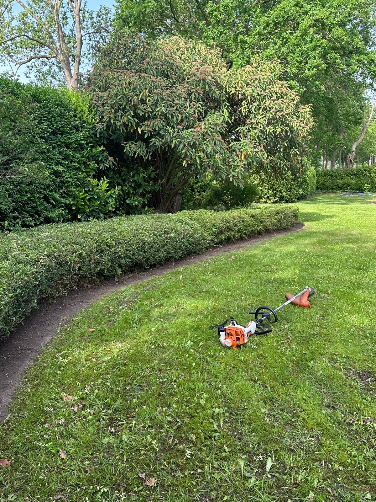 Tuinman voor tuin- en gazononderhoud, Ophalen, Nieuw, Benzine
