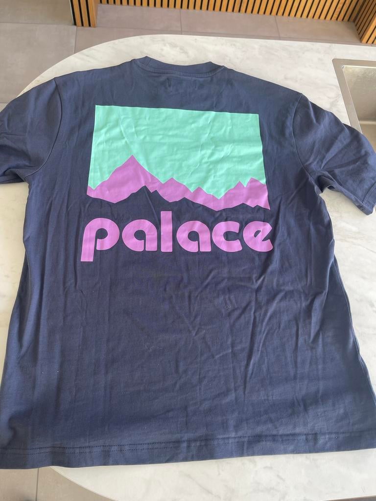 Palace x Berghaus t-shirt (nieuw), Ophalen of Verzenden, Nieuw, Overige maten, Blauw