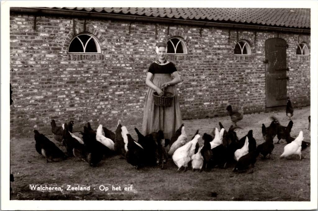 Walcheren - Op het erf, Verzenden, 1940 tot 1960, Ongelopen, Zeeland